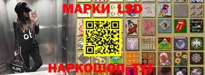 наркотики Сланцы