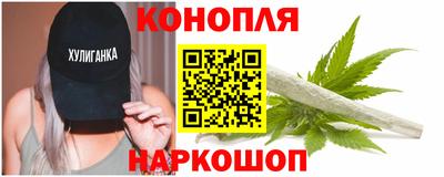 наркотики Сланцы